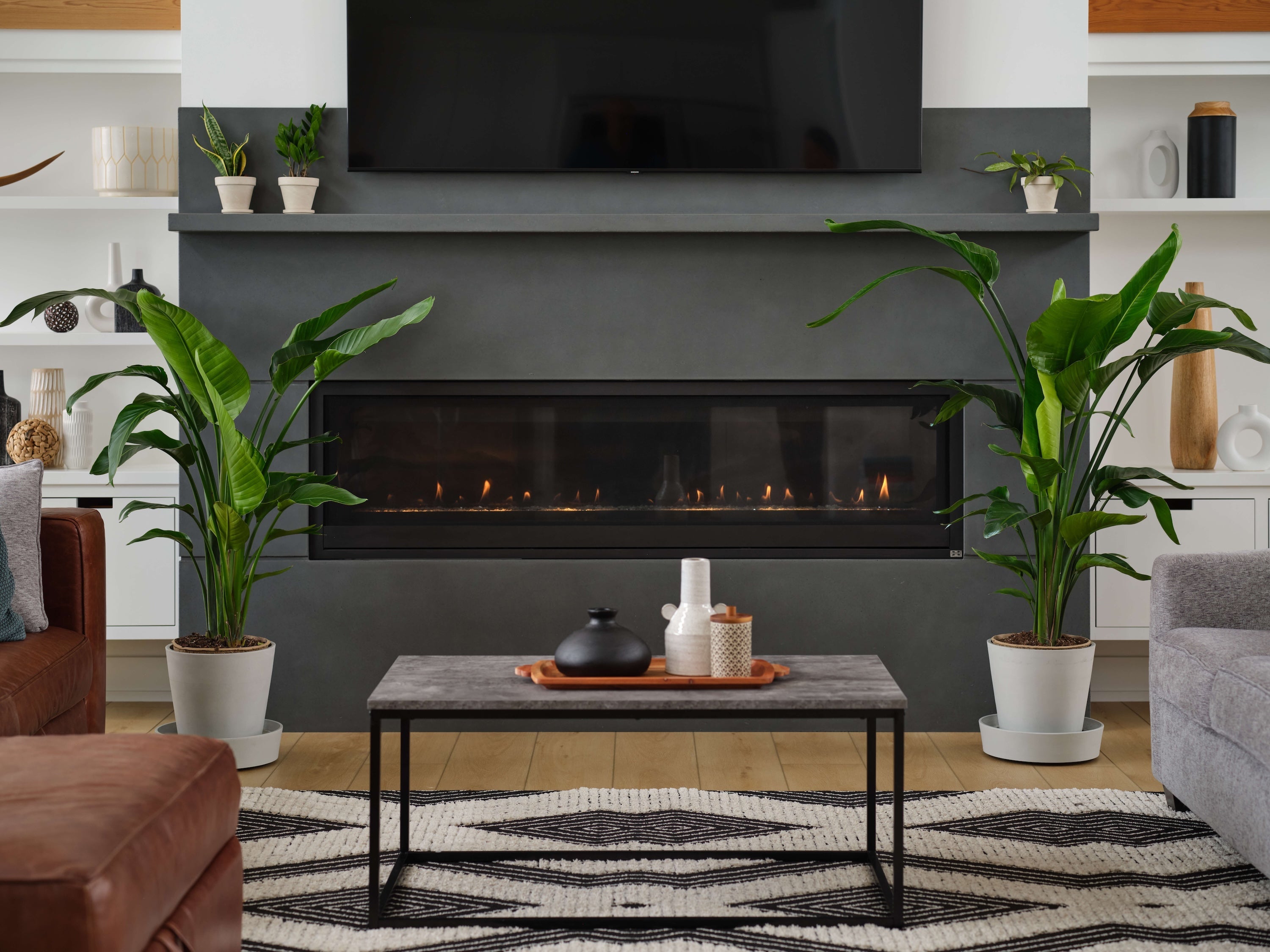 Bird of Paradise Luxe